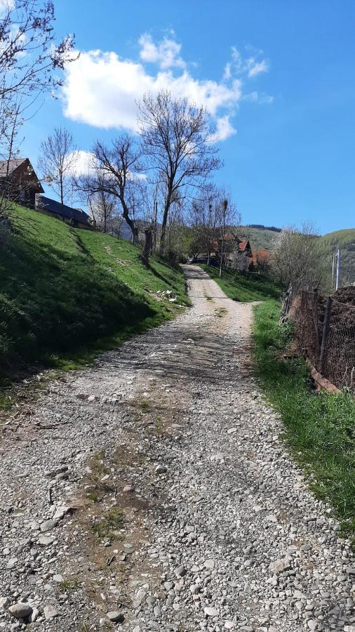 Casa In Curte La Zavate Hébergement de vacances Bran (Brasov)
