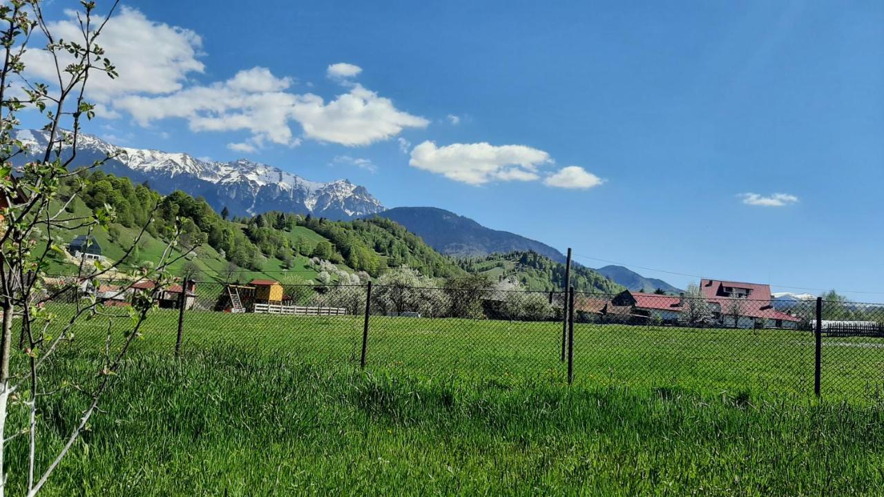Casa In Curte La Zavate Hébergement de vacances Bran (Brasov)